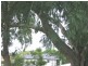 6 Yorston Place, Ormiston QLD 4160