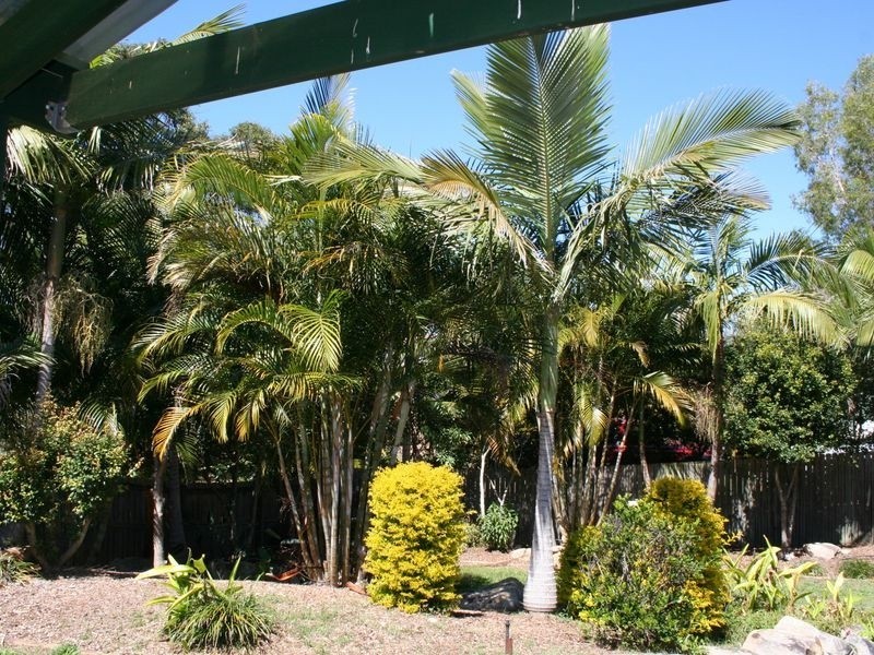 34 Cherry Street, Wellington Point QLD 4160