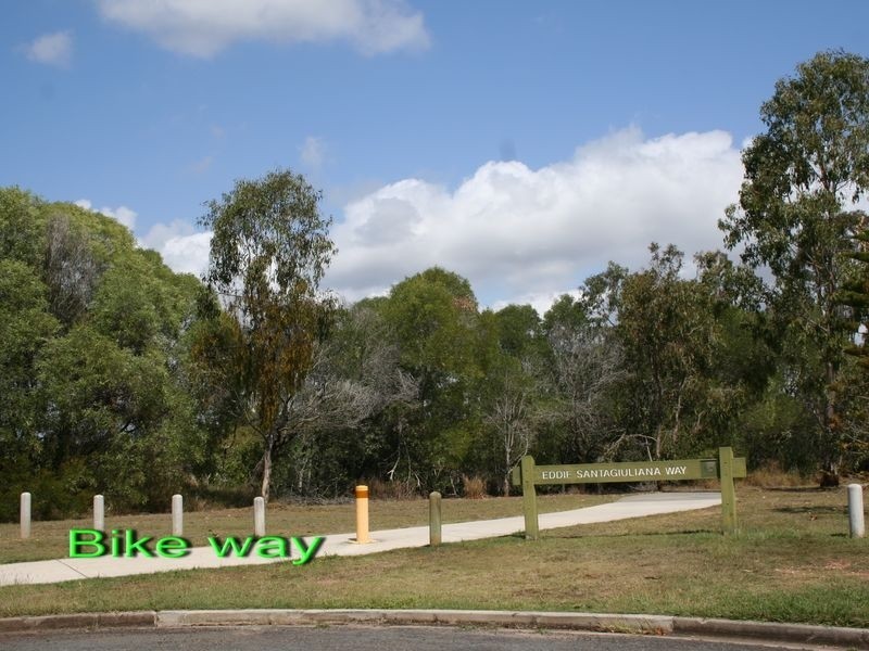 6 Devonstone Street, Cleveland QLD 4163