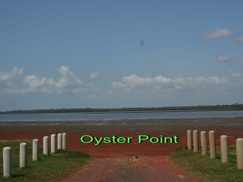 6 Devonstone Street, Cleveland QLD 4163