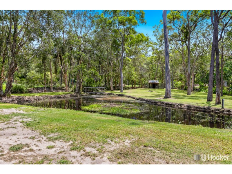 16 Firtree Street, Capalaba QLD 4157