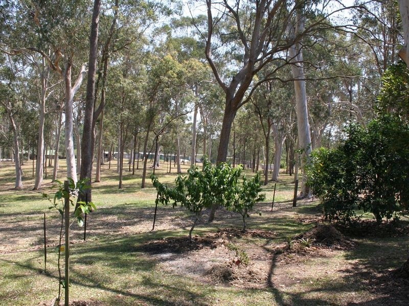 212 Teviot Road, Carbrook QLD 4130