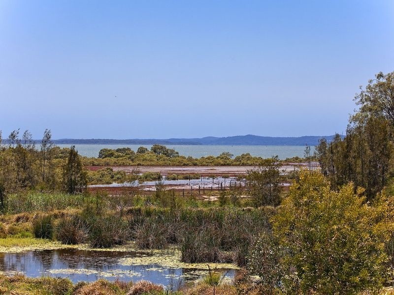 55 George Thorn Drive, Thornlands QLD 4164