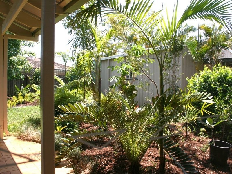 14 Danielle Street, Cleveland QLD 4163