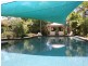 1 Timbarra Court, Capalaba QLD 4157