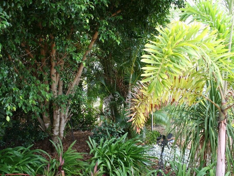 7 Creedin Court, Redland Bay QLD 4165