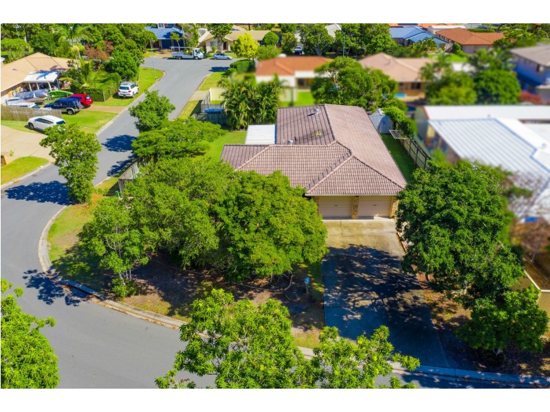 19 Northview Street, Birkdale QLD 4159