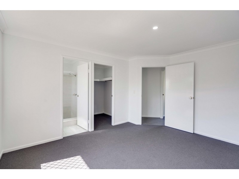 19 Northview Street, Birkdale QLD 4159