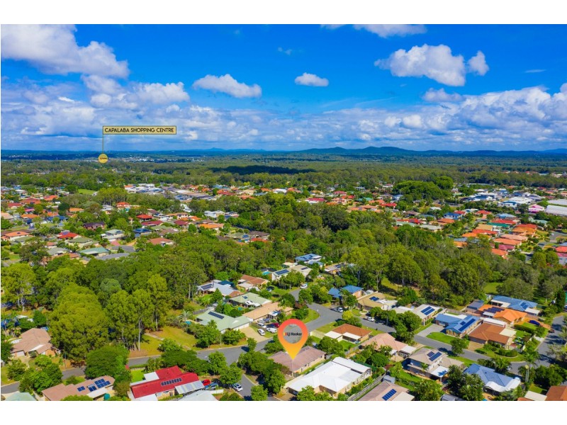 19 Northview Street, Birkdale QLD 4159