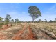 Lot 207/ Premier Drive, Kingaroy QLD 4610
