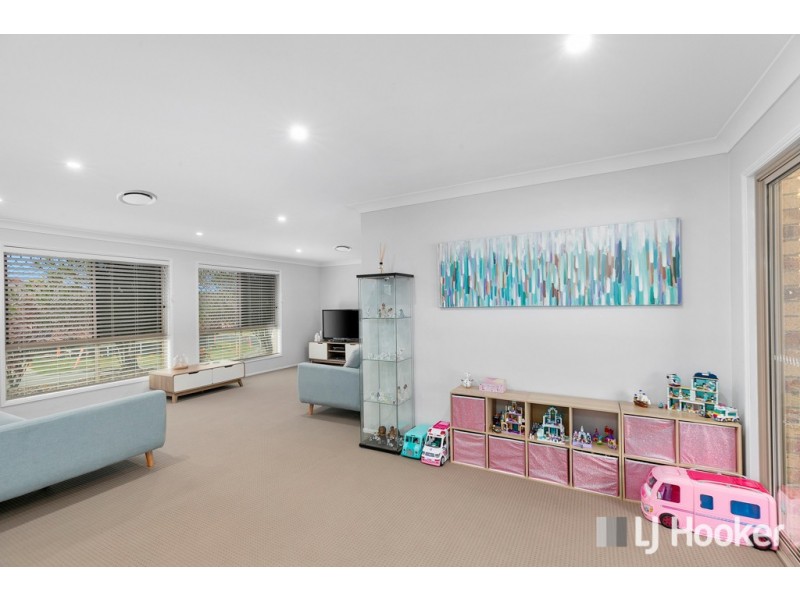 10 Clement Court, Capalaba QLD 4157