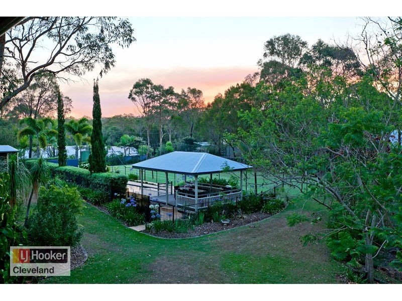 5 Dicameron Court, Thornlands QLD 4164