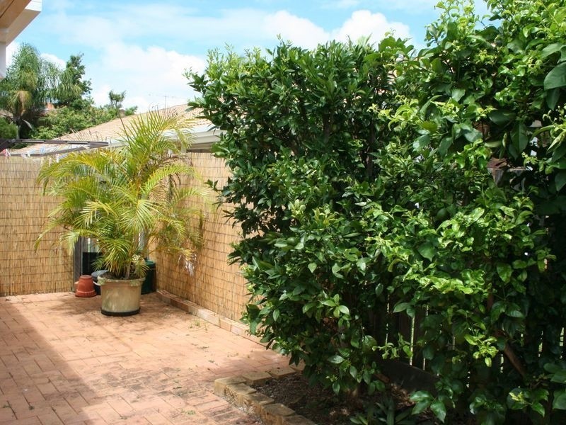 19/91 Wynyard Street, Cleveland QLD 4163