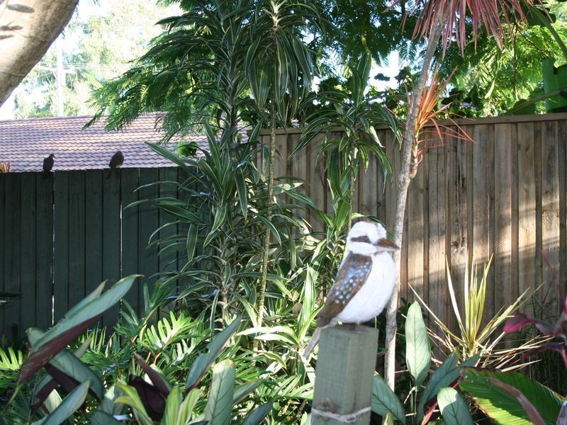 68 Wellington Street, Cleveland QLD 4163