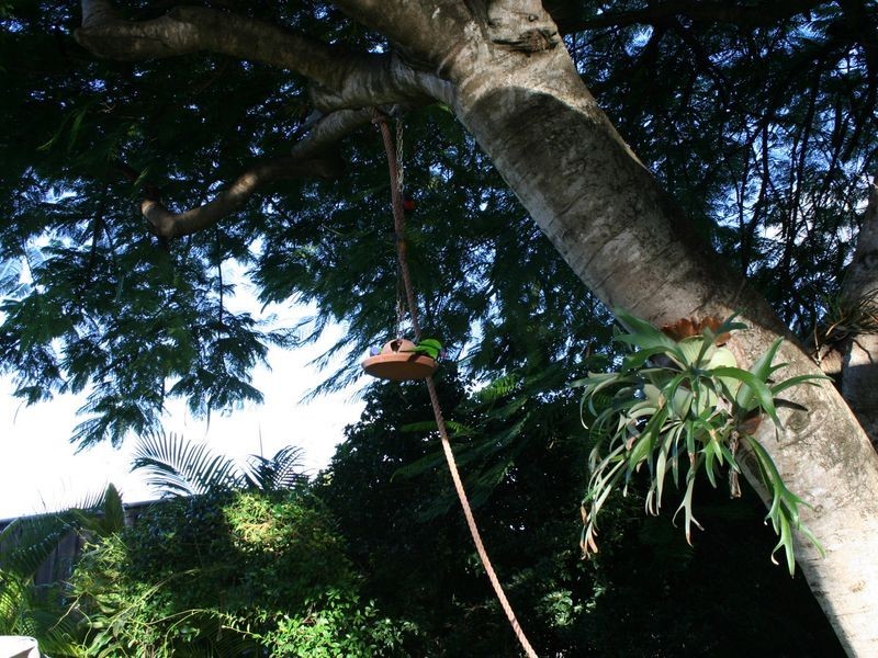 68 Wellington Street, Cleveland QLD 4163