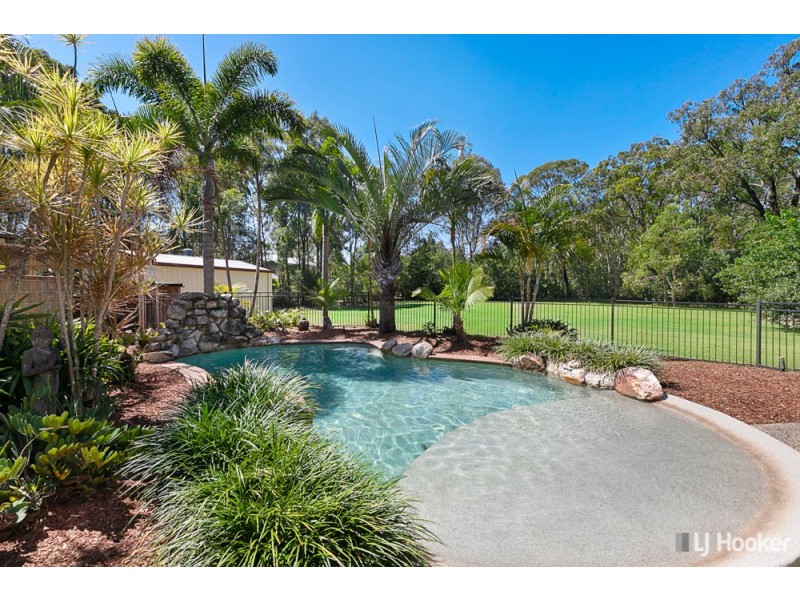 257 Fitzroy Street, Cleveland QLD 4163