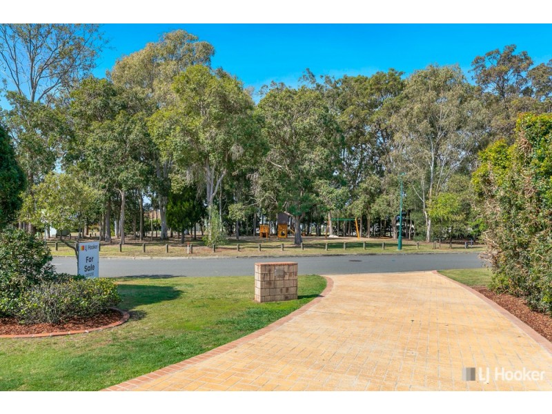 17 Paulina Street, Wellington Point QLD 4160