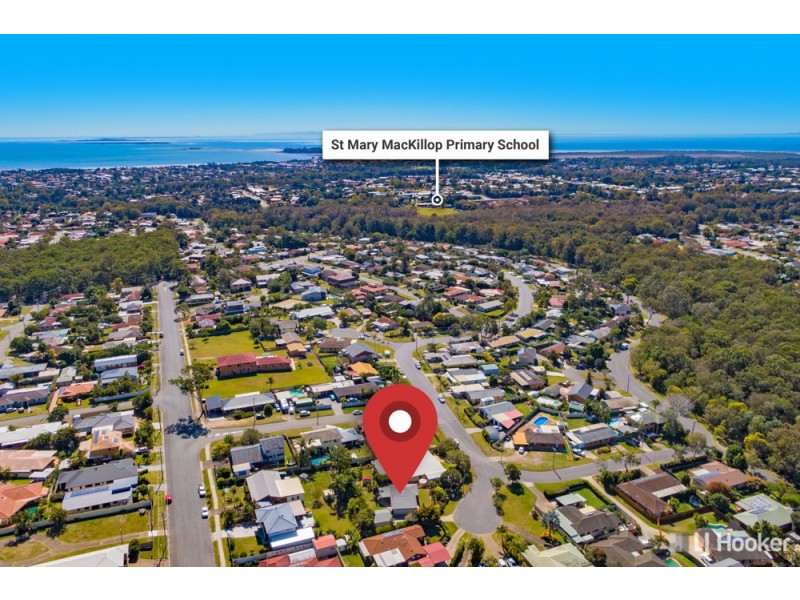 2 Lyre Court, Birkdale QLD 4159