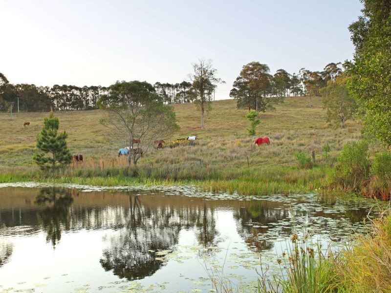 156 Woodlands Drive, Thornlands QLD 4164