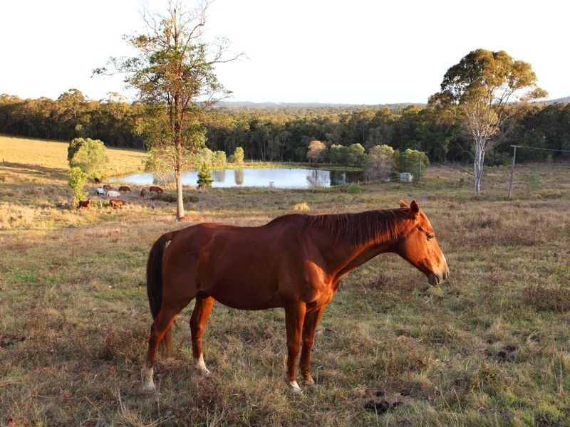 156 Woodlands Drive, Thornlands QLD 4164