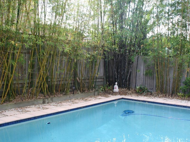 49 Primrose Drive, Thornlands QLD 4164