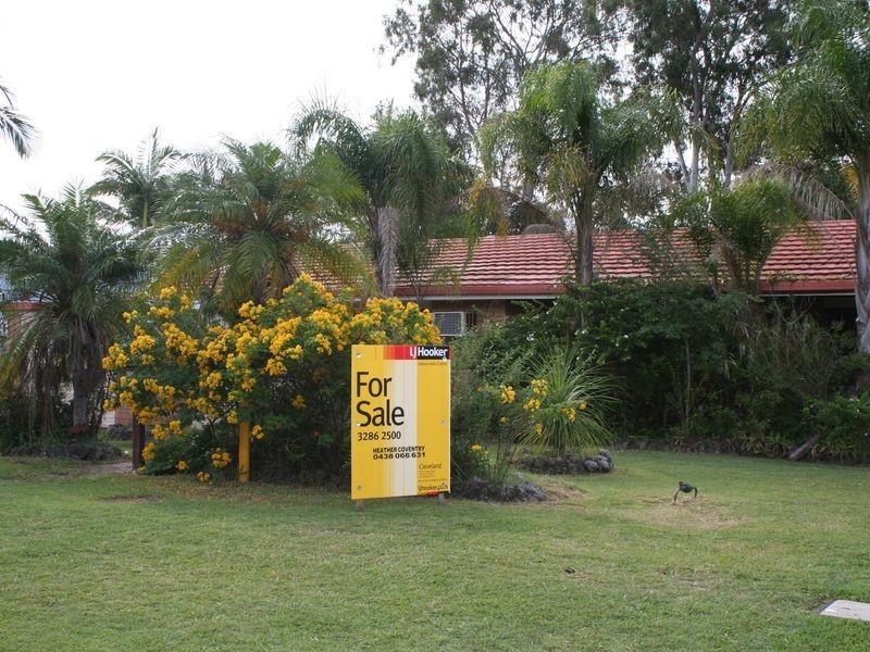 17 Scott Street, Cleveland QLD 4163