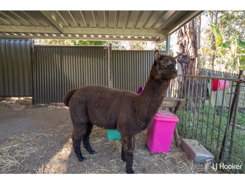 350 Woodlands Drive, Thornlands QLD 4164