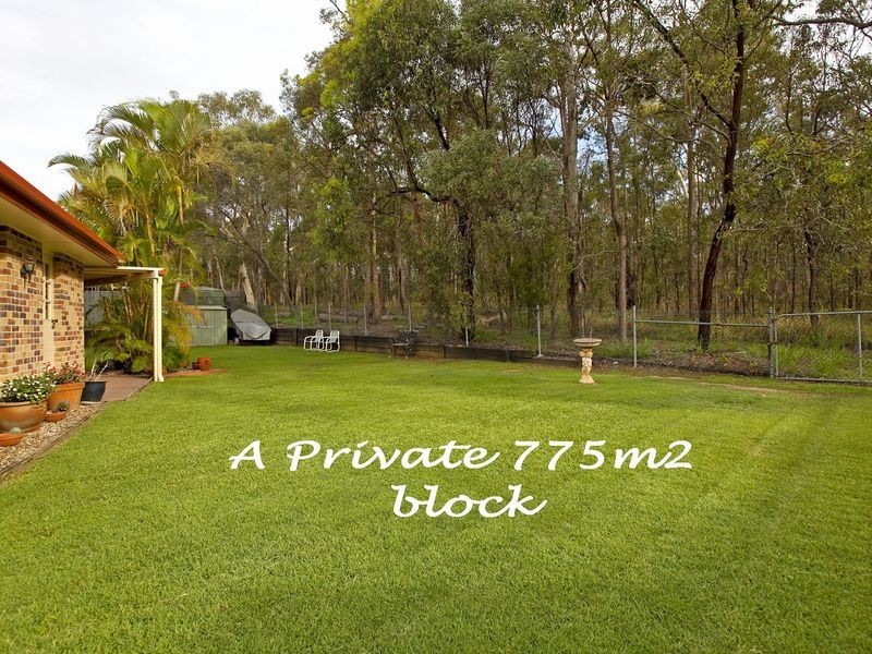 12 Palgold Court, Birkdale QLD 4159