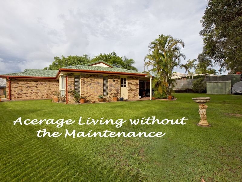 12 Palgold Court, Birkdale QLD 4159