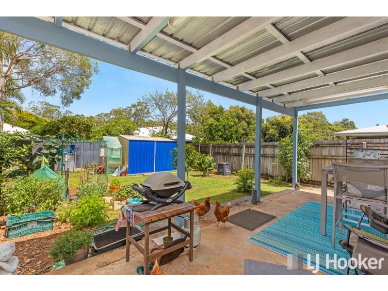 22 Langdon Street, Cleveland QLD 4163