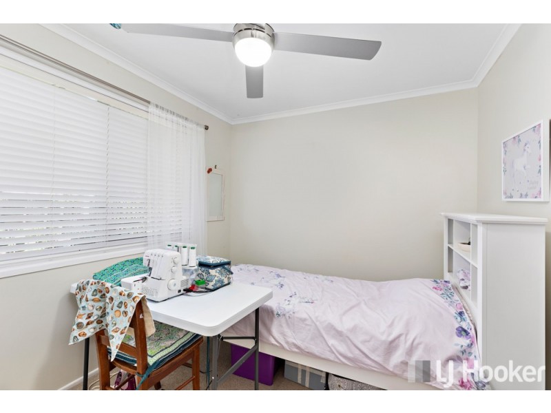 22 Langdon Street, Cleveland QLD 4163