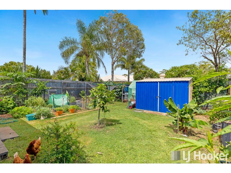 22 Langdon Street, Cleveland QLD 4163