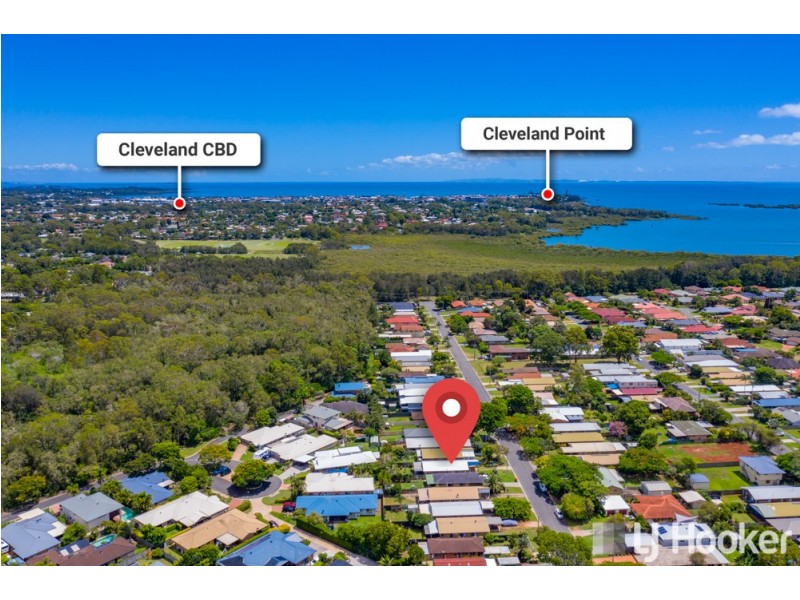 22 Langdon Street, Cleveland QLD 4163