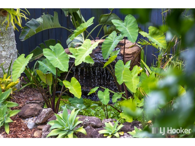 41 Canegrove Circuit, Wellington Point QLD 4160