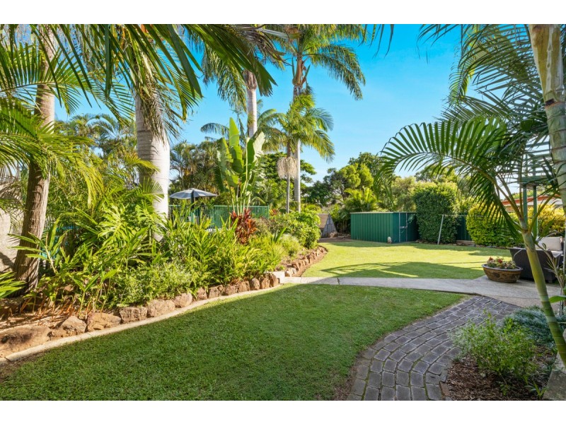 39 Amaryllis Street, Alexandra Hills QLD 4161