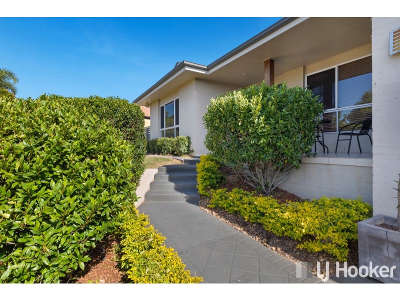 2 Aphrodite Court, Cleveland QLD 4163