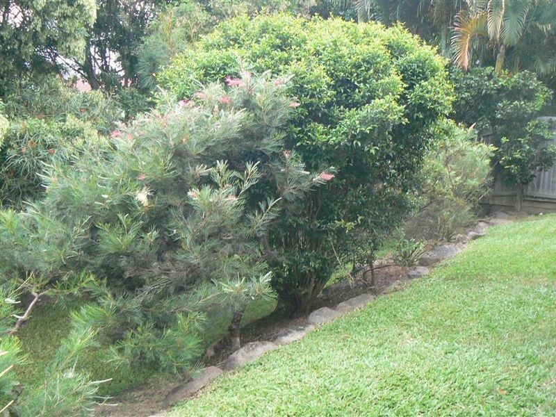 4 Bloodwood Court, Mount Cotton QLD 4165