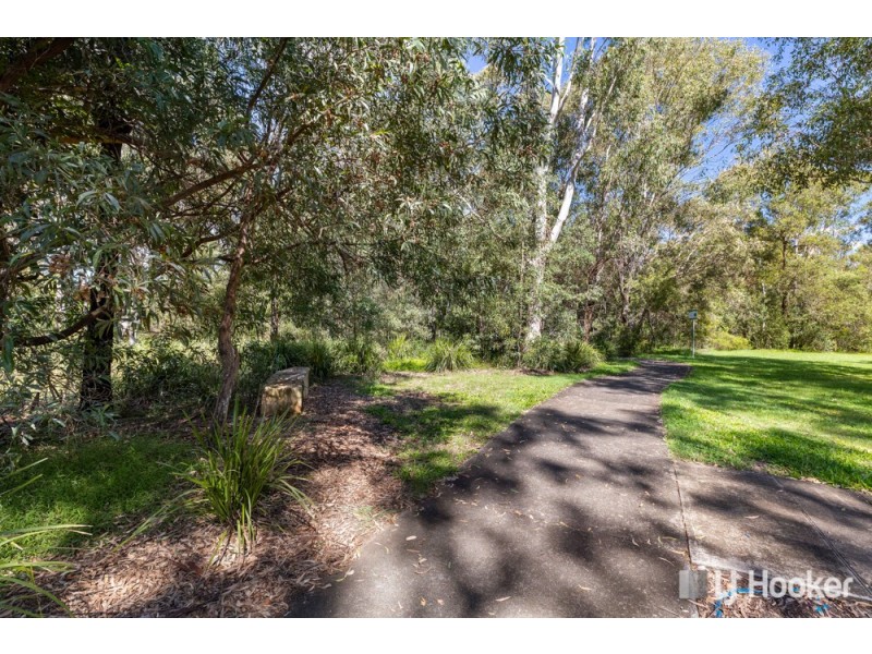 14 Helen Street, Thorneside QLD 4158