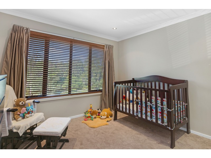 4 Tuckeroo Street, Thornlands QLD 4164