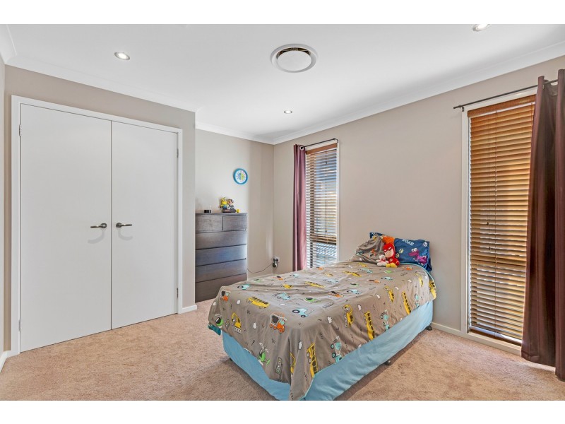 4 Tuckeroo Street, Thornlands QLD 4164