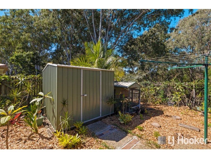30 Capricorn Drive, Cleveland QLD 4163