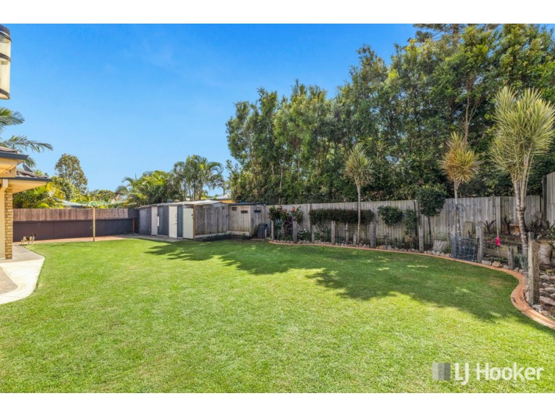 23 Mallan Terrace, Birkdale QLD 4159