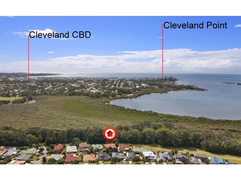 15 Goleby Esplanade, Cleveland QLD 4163
