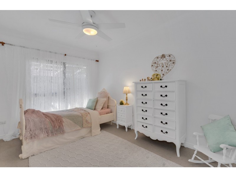 54 Ribonwood Street, Thornlands QLD 4164