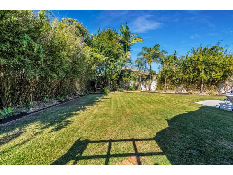 54 Ribonwood Street, Thornlands QLD 4164
