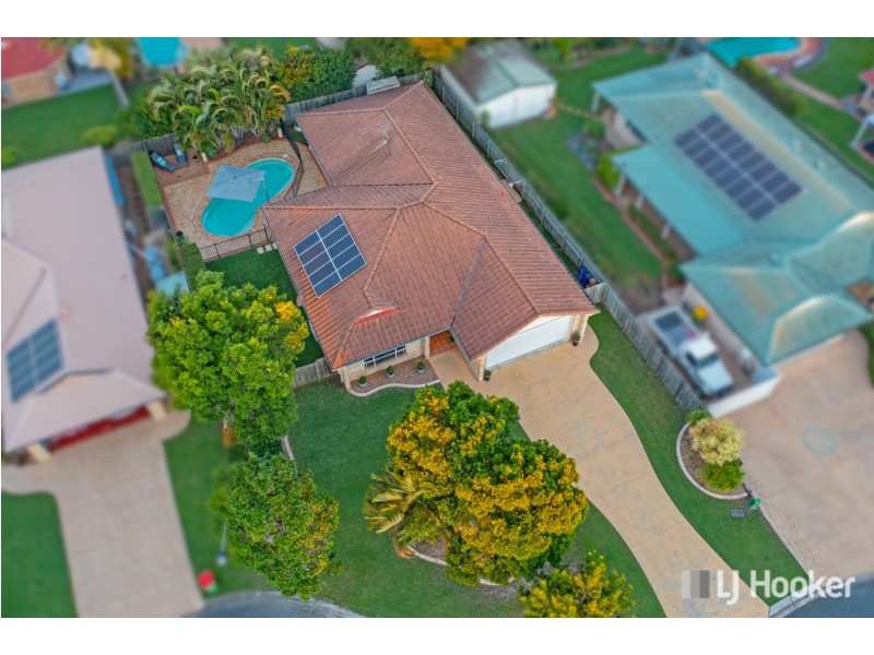 51 Gardenia Drive, Birkdale QLD 4159