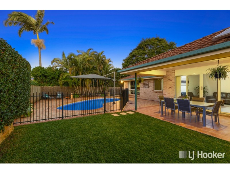 51 Gardenia Drive, Birkdale QLD 4159