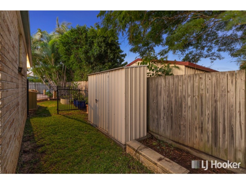 51 Gardenia Drive, Birkdale QLD 4159