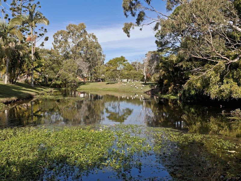 8 Buckler Court, Redland Bay QLD 4165