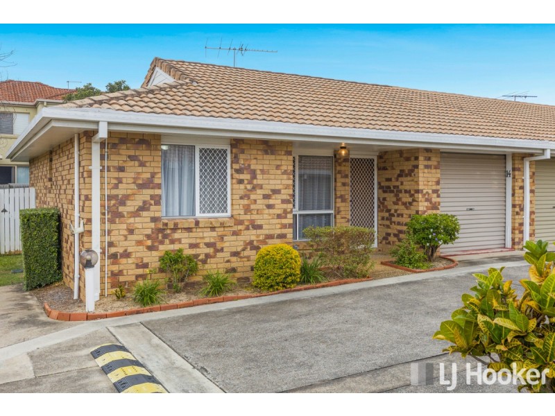 14/91 Wynyard Street, Cleveland QLD 4163